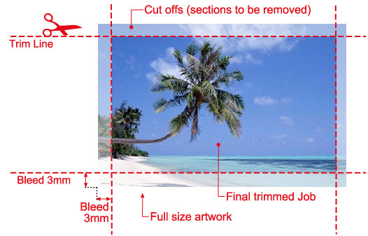 Print Bleed Explained