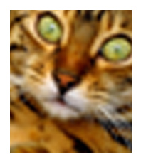 Comparison of on-screen image resolution versus printed image resolution
